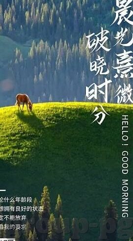 leyu乐鱼体育全站-探索leyu乐鱼体育全站，一站式体育资讯与互动平台